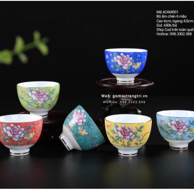 Bộ Chén 6 Mầu Hoa Mẫu Đơn